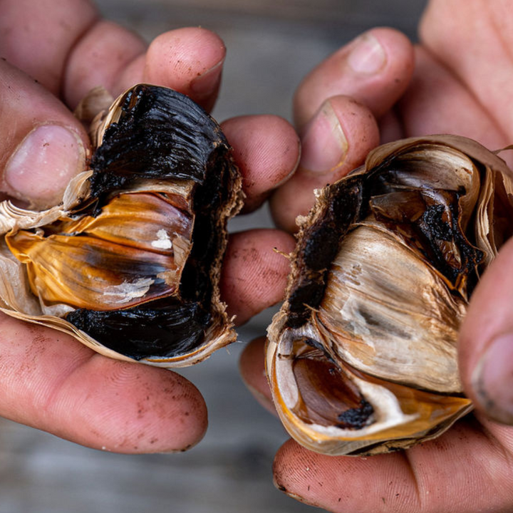 Black Garlic - Peeled cloves